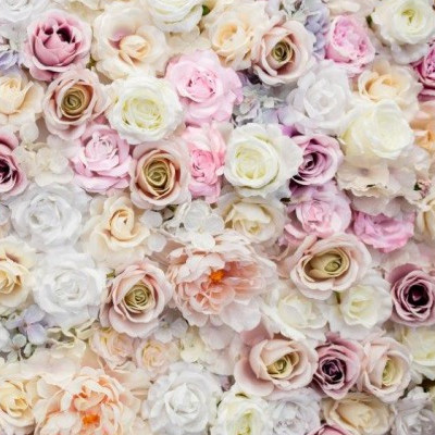 Kvetované fotopozadie s bielymi, žltými, ružovými a lososovými hlavami kvetov ruže